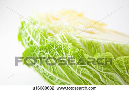 Chinese cabbage View Large Photo Image Stock Image - Chinese cabbage . Fotosearch