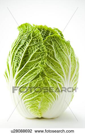Stock Image - Chinese cabbage . Fotosearch