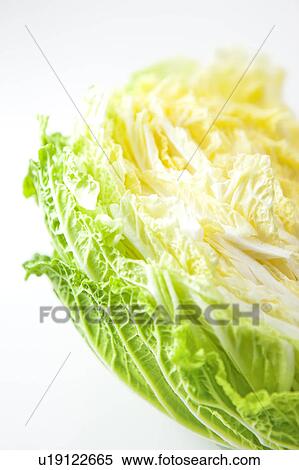 Chinese cabbage View Large Photo Image Stock Photography - Chinese cabbage . Fotosearch