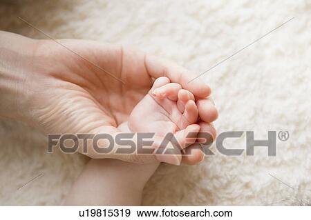 Close-up of mother holding baby's hand View Large Photo Image Stock Photo - Close-up of mother holding baby's hand. Fotosearch