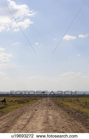 Stock Image - Country Road in Savannah. Fotosearch