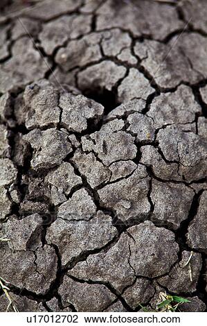 Cracked Earth View Large Photo Image Stock Image - Cracked Earth. Fotosearch