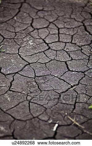 Stock Photo - Cracked Earth. Fotosearch