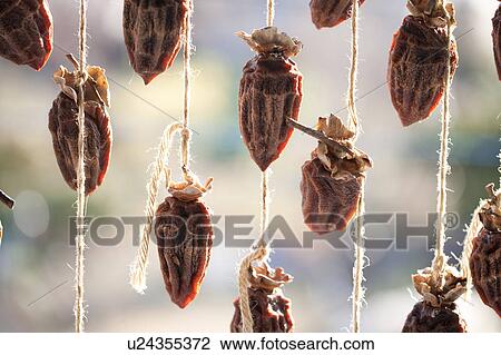 Stock Image - Dried persimmon. Fotosearch