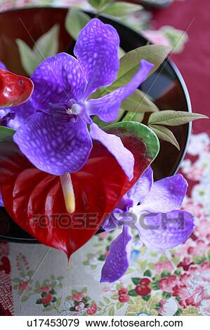 Flower Arranged with Japanese Lacquer Ware View Large Photo Image Stock Photo - Flower Arranged with Japanese Lacquer Ware. Fotosearch