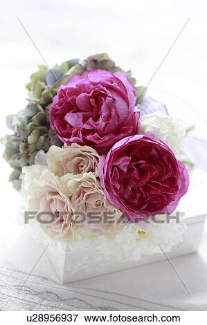 Stock Photo - Flower Arrangement of Roses and Hydrangea. Fotosearch