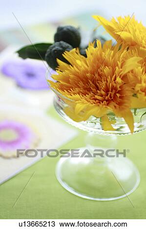Flower Arrangement of Sunflowers and Yuzu View Large Photo Image Stock Image - Flower Arrangement of Sunflowers and Yuzu. Fotosearch