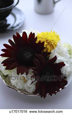 Flower Arrangement View Large Photo Image Stock Photograph - Flower Arrangement. Fotosearch