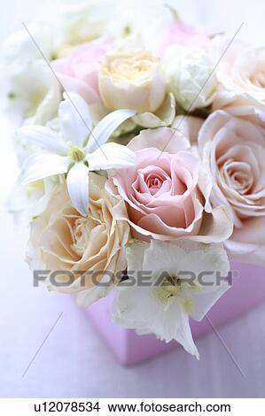 Flowers Put In Heart-shaped Box View Large Photo Image Picture - Flowers Put In Heart-shaped Box. Fotosearch