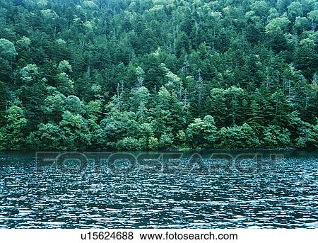 Stock Photo - Forest and lake, Hokkaido Prefecture, Japan. Fotosearch