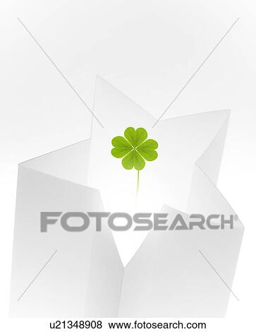 Stock Photo - Four Clover Four and Star. Fotosearch