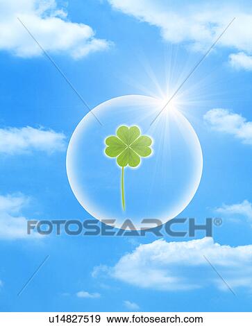 Stock Photo - Four Leaf Clover in Bubble. Fotosearch