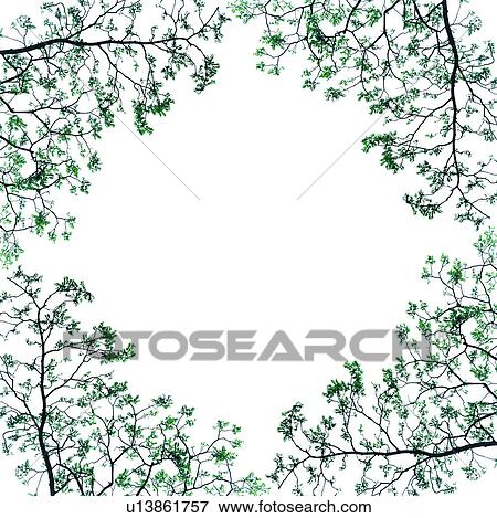 Frame formed with Trees View Large Photo Image Stock Photo - Frame formed with Trees. Fotosearch