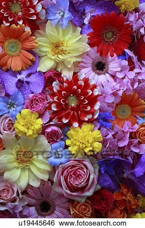 Stock Photograph - Full Frame of Flowers. Fotosearch
