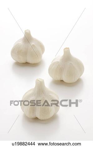 Garlic View Large Photo Image Picture - Garlic. Fotosearch