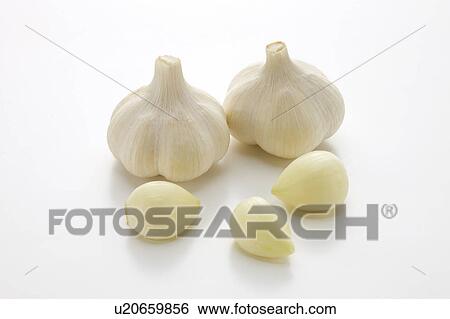 Garlic View Large Photo Image Stock Photograph - Garlic. Fotosearch
