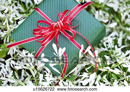 Gift box and white flowers View Large Photo Image Stock Image - Gift box and white flowers. Fotosearch