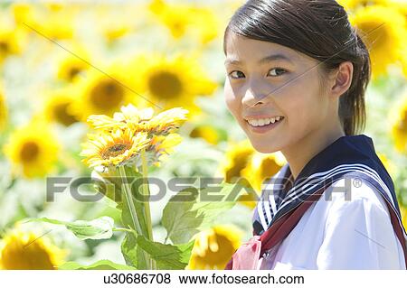 Girl in Sunflower Field View Large Photo Image Stock Photo - Girl in Sunflower Field. Fotosearch