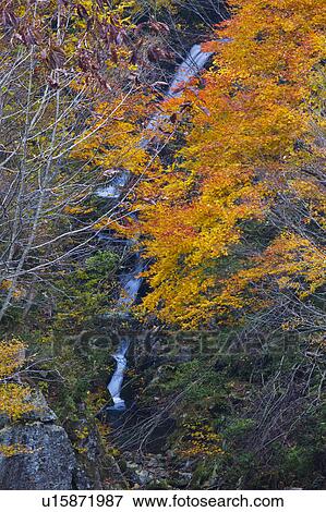 Stock Photo - Godan waterfall, Okayama Prefecture, Honshu, Japan. Fotosearch