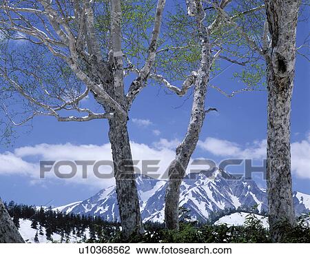 Hakuba peaks View Large Photo Image Stock Image - Hakuba peaks. Fotosearch