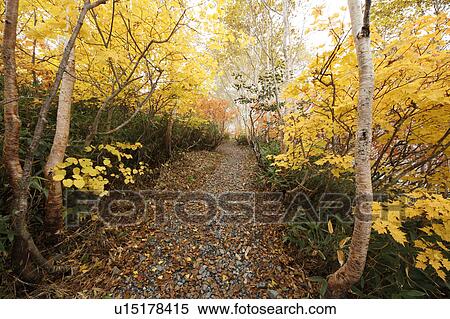 Stock Photography - Happo-one climbing trail. Fotosearch