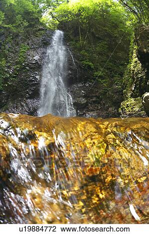 Stock Image - Hossawa-no-taki waterfall, Tokyo, Honshu, Japan. Fotosearch