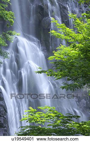 Stock Image - Ichi-no-taki waterfall, Akita Prefecture, Honshu, Japan. Fotosearch