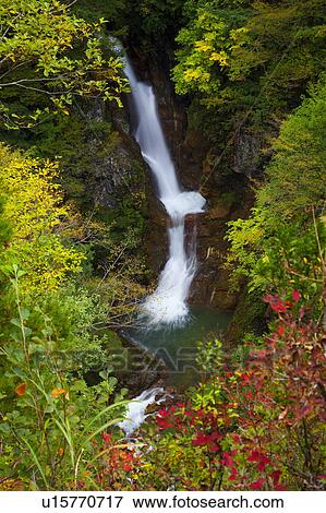 Jyabuchi-no-taki waterfall, Nagano Prefecture, Honshu, Japan View Large Photo Image Stock Photo - Jyabuchi-no-taki waterfall, Nagano Prefecture, Honshu, Japan. Fotosearch