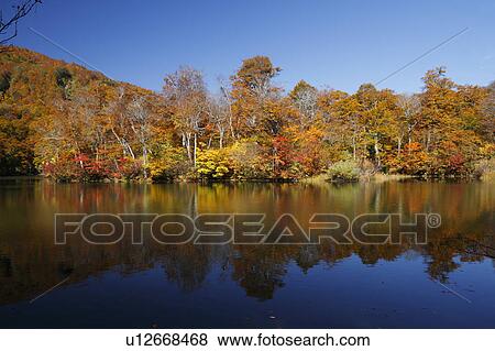 Stock Photo - Kama-ike Pound. Fotosearch