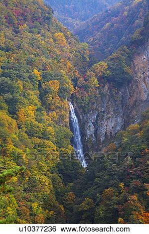 Kanman Waterfall, Nagano Prefecture, Honshu, Japan View Large Photo Image Stock Photograph - Kanman Waterfall, Nagano Prefecture, Honshu, Japan. Fotosearch
