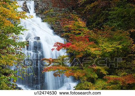 Karasawa-no-taki waterfall, Nagano Prefecture, Honshu, Japan View Large Photo Image Stock Image - Karasawa-no-taki waterfall, Nagano Prefecture, Honshu, Japan. Fotosearch