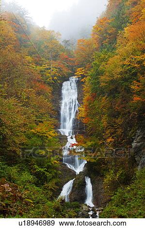 Karasawa-no-taki waterfall, Nagano Prefecture, Honshu, Japan View Large Photo Image Stock Photo - Karasawa-no-taki waterfall, Nagano Prefecture, Honshu, Japan. Fotosearch