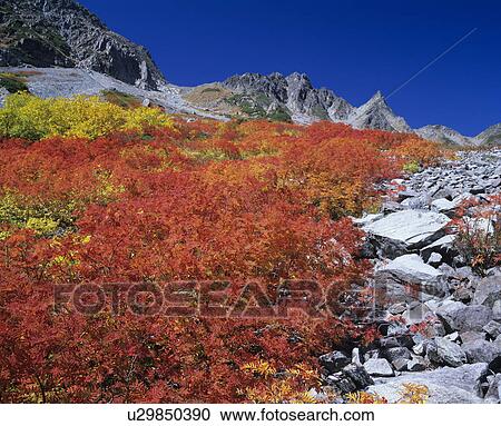 Stock Image - Karasawa. Fotosearch