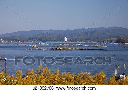 Stock Photograph - Kumihama Port, Kyotango City, Kyoto Prefecture, Honshu, Japan. Fotosearch