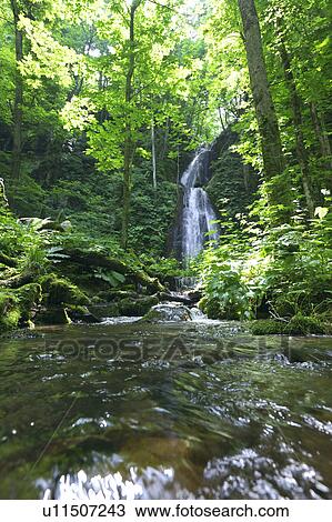 Stock Image - Kumoi-no-taki, Oirase, Aomori Prefecture, Honshu, Japan. Fotosearch