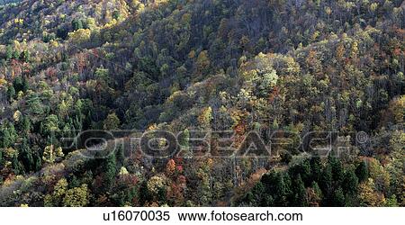 Stock Photography - Kurosawa highlands. Fotosearch