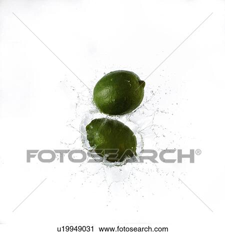 Limes Splashing into Water View Large Photo Image Stock Image - Limes Splashing into Water. Fotosearch