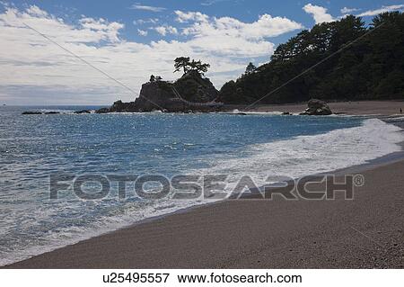 Stock Photo - Main Beech of Katsurahama. Fotosearch