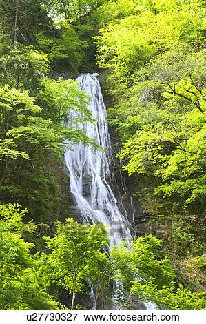 Marugami-no-taki waterfall, Saitama Prefecture, Honshu, Japan View Large Photo Image Stock Photo - Marugami-no-taki waterfall, Saitama Prefecture, Honshu, Japan. Fotosearch