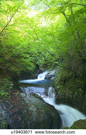 Stock Image - Mie-no-taki waterfall, Yamanashi Prefecture, Honshu, Japan. Fotosearch