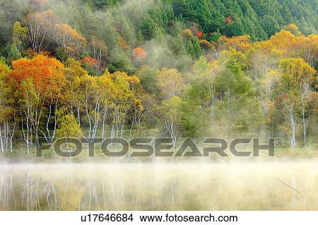 Mist Over Pond in Autumn View Large Photo Image Picture - Mist Over Pond in Autumn. Fotosearch