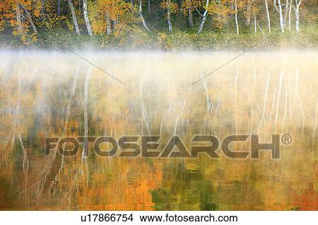 Mist Over Pond in Autumn View Large Photo Image Picture - Mist Over Pond in Autumn. Fotosearch