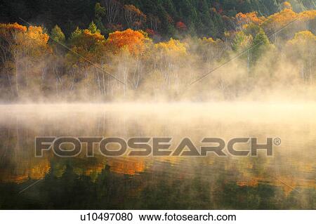Mist Over Pond in Autumn View Large Photo Image Stock Image - Mist Over Pond in Autumn. Fotosearch