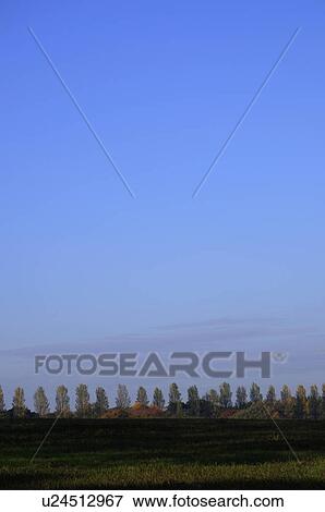 Stock Photo - Mizumoto Park. Fotosearch