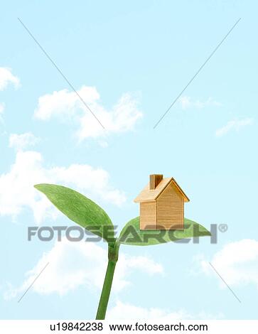 Stock Photo - Model House on Leaf. Fotosearch