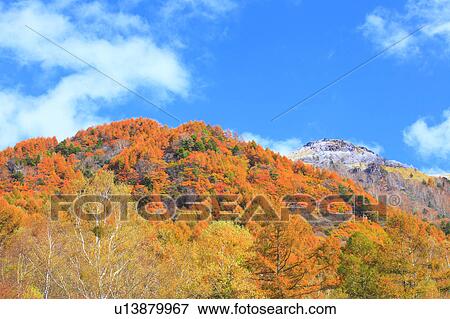 Mountain in autumn View Large Photo Image Stock Photo - Mountain in autumn. Fotosearch