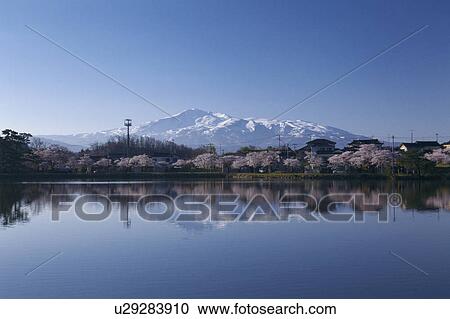 Stock Image - Mt. Chokai, Akita Prefecture, Honshu, Japan. Fotosearch