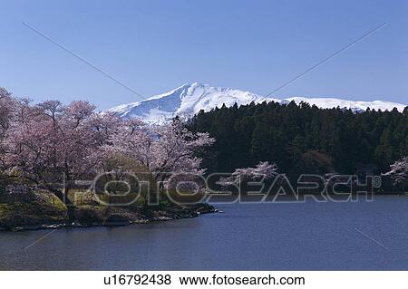 Mt. Chokai, Akita Prefecture, Honshu, Japan View Large Photo Image Stock Photo - Mt. Chokai, Akita Prefecture, Honshu, Japan. Fotosearch