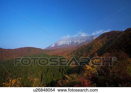 Picture - Mt. Daisen, Tottori Prefecture, Honshu, Japan. Fotosearch