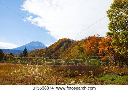 Picture - Mt. Mitake, Gifu Prefecture, Honshu, Japan. Fotosearch